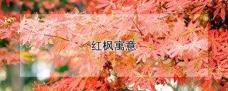 红枫寓意,第1图