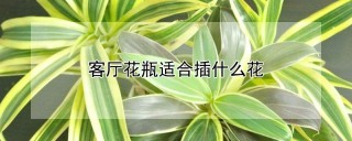 客厅花瓶适合插什么花,第1图