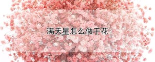 满天星怎么做干花,第1图