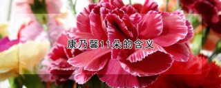 康乃馨11朵的含义,第1图