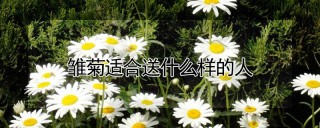 雏菊适合送什么样的人,第1图