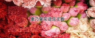 康乃馨花语及支数,第1图