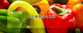 太空椒是什么育种,第1图