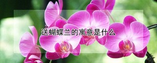 送蝴蝶兰的寓意是什么,第1图