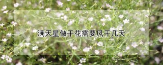 满天星做干花需要风干几天,第1图