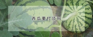 西瓜要打顶吗,第1图