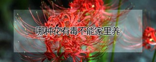 哪种花有毒不能家里养,第1图