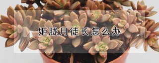 姬胧月徒长怎么办,第1图