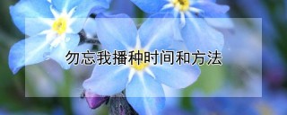 勿忘我播种时间和方法,第1图