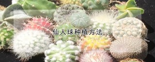 仙人球种植方法,第1图