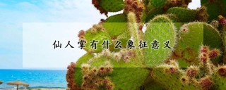 仙人掌有什么象征意义,第1图