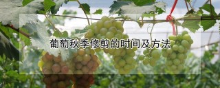 葡萄秋季修剪的时间及方法,第1图