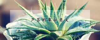 芦荟的象征意义,第1图