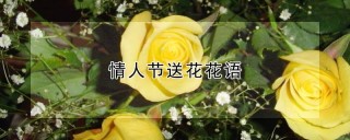 情人节送花花语,第1图