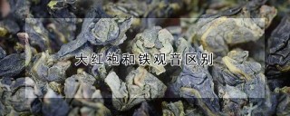 大红袍和铁观音区别,第1图