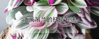 油画吊兰的扦插方法,第1图