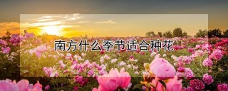 南方什么季节适合种花,第1图