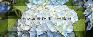 无尽夏最晚几月份修剪,第1图