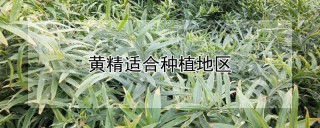 黄精适合种植地区,第1图