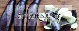 茄子是什么颜色的,第1图