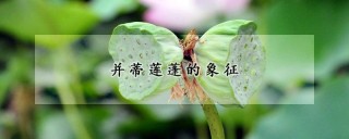 并蒂莲蓬的象征,第1图