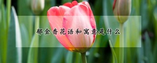 郁金香花语和寓意是什么,第1图