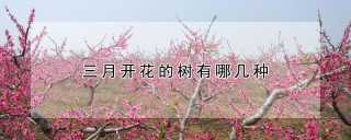 三月开花的树有哪几种,第1图