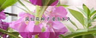 凤仙花种子浸泡多久,第1图