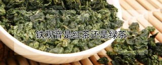 铁观音是红茶还是绿茶,第1图