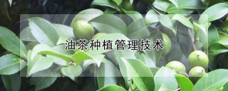 油茶种植管理技术,第1图