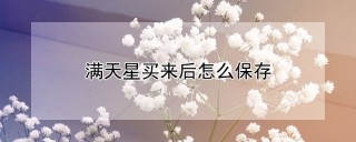 满天星买来后怎么保存,第1图