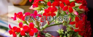 老人生日送什么花,第1图