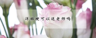 洋桔梗可以送老师吗,第1图