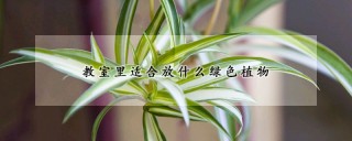 教室里适合放什么绿色植物,第1图