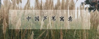 中国芦苇寓意,第1图