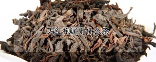 大红袍属于什么茶,第1图