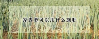 家养葱可以用什么施肥,第1图