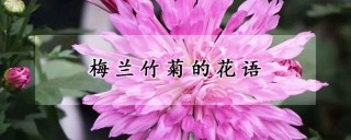 梅兰竹菊的花语,第1图