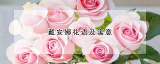 戴安娜花语及寓意,第1图