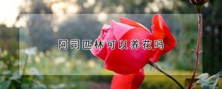 阿司匹林可以养花吗,第1图