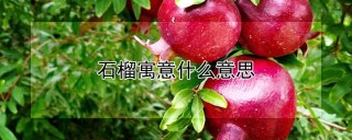 石榴寓意什么意思,第1图