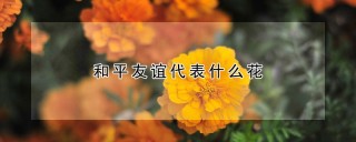 和平友谊代表什么花,第1图