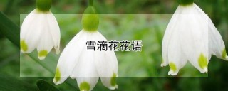 雪滴花花语,第1图