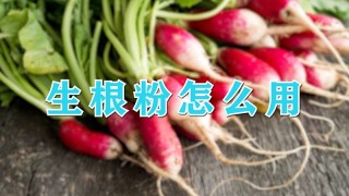 生根粉怎么用,第1图