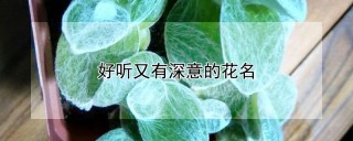 好听又有深意的花名,第1图