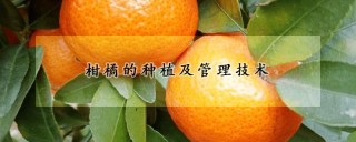 柑橘的种植及管理技术,第1图