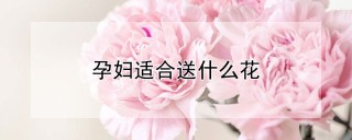 孕妇适合送什么花,第1图