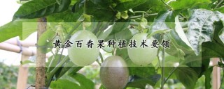 黄金百香果种植技术要领,第1图