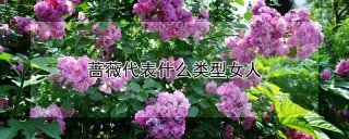 蔷薇代表什么类型女人,第1图