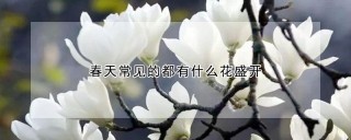 春天常见的都有什么花盛开,第1图